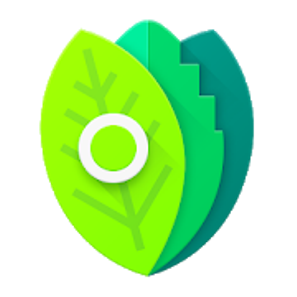 Minty Icons Pro v0.9.2 [Patched] APK