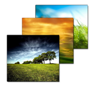 Wallpaper Changer v4.8.4 [Premium] APK