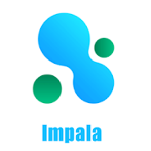 Impala Widgets v4.1 [Paid] APK