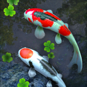 Water Garden Live Wallpaper v1.65 [Unlocked][Modded] APK