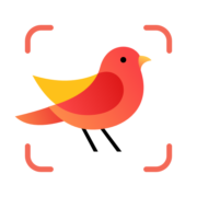 Picture Bird - Bird Identifier v2.9.5 [Premium] APK