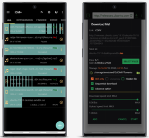 1DM+: Browser & Downloader